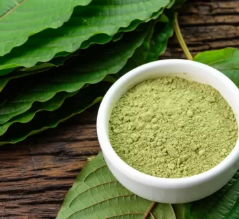 Best strain of kratom for relaxation