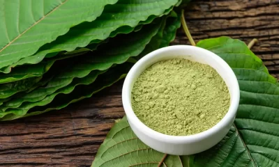 Best strain of kratom for relaxation