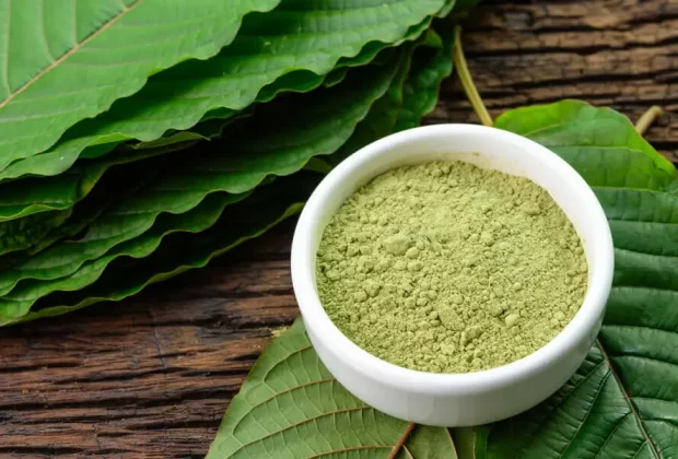 Best strain of kratom for relaxation